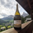 Löwengang Chardonnay Vigneti delle Dolomiti IGT 2022 0.75 l