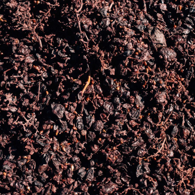 Merlot delle Dolomiti IGT BIO 2023 0.75 l