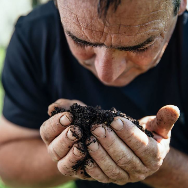 Merlot Alto Adige DOC 2022 0.75 l