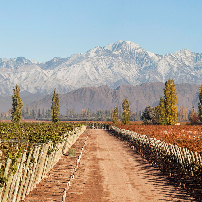 Cabernet Sauvignon Reserva 2023 0.75 l