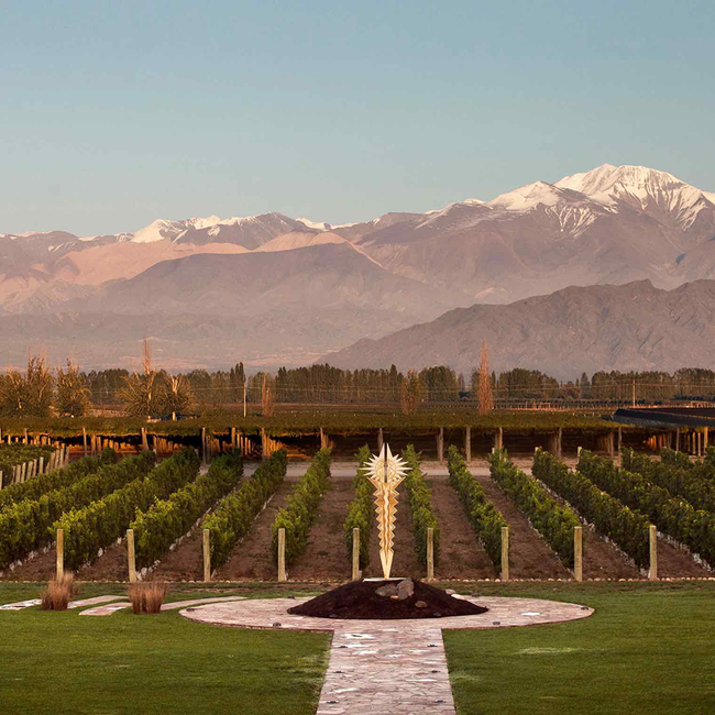 Altura Cabernet Franc 2023 0.75 l