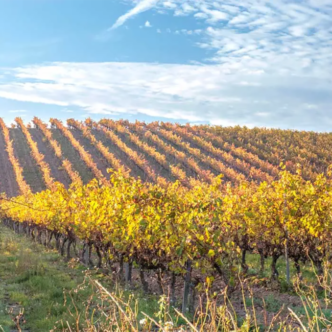 Conde Valdemar Reserva Rioja DOCa 2018 0.75 l