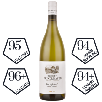 Bründlmayer / Österreich, Niederösterreich, Langenlois Grüner Veltliner Käferberg 1ÖTW Kamptal DAC 2022 0.75 l