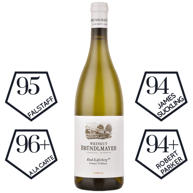 Grüner Veltliner Käferberg 1ÖTW Kamptal DAC 2022 0.75 l