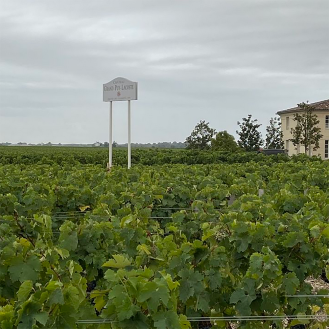 Château Grand-Puy-Lacoste 5e Grand Cru Classé Pauillac 2021 0,75 l