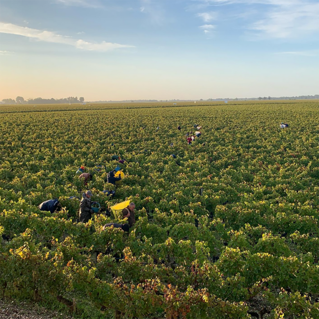 Château Grand Puy Lacoste 5eme Grand Cru Classe 2021 0.75 l
