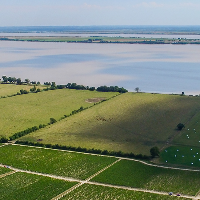 Château Leoville Las Cases 2eme Grand Cru 2021 0.75 l