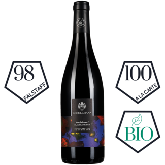 Gesellmann / Österreich, Burgenland, Deutschkreutz Blaufränkisch Hochberc 2021 0.75 l