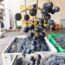Zweigelt Carnuntum DAC 2023 0.75 l