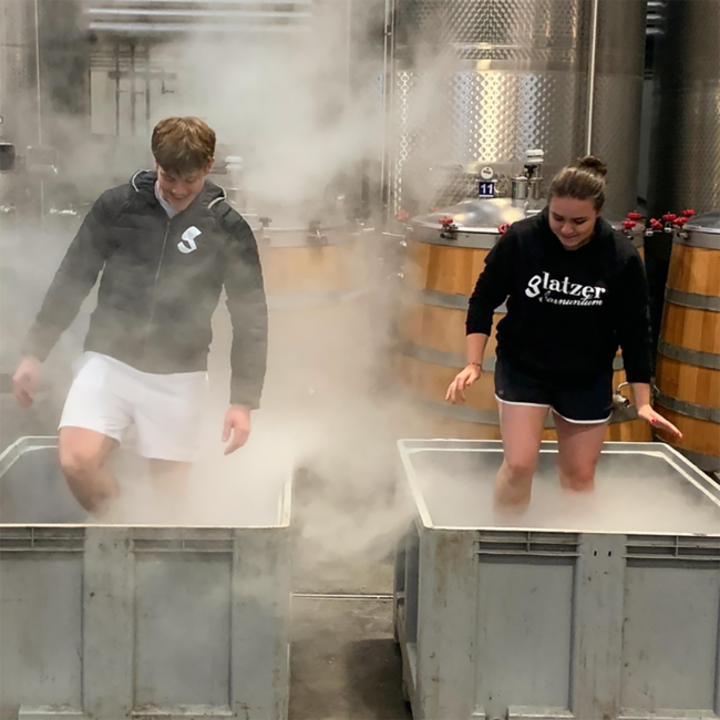 Zweigelt Carnuntum DAC 2023 0.75 l