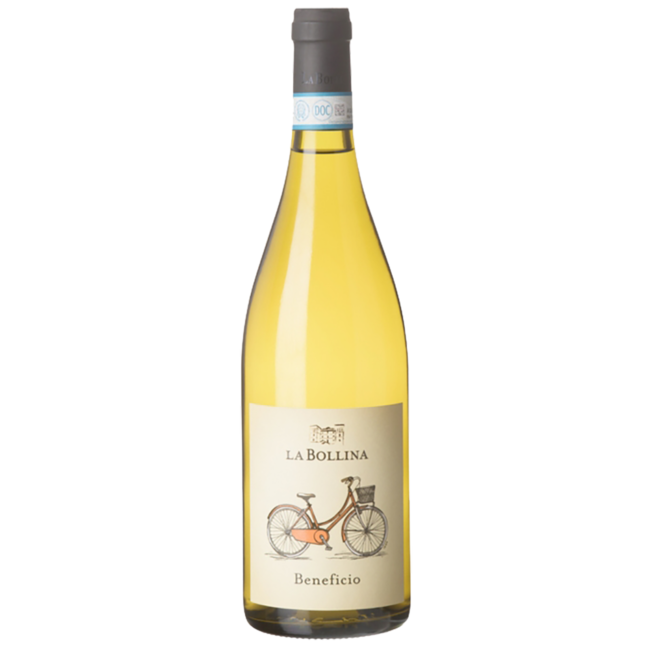 “Beneficio” (CH/SB/CO) Piemonte DOC 2024 0.75 l