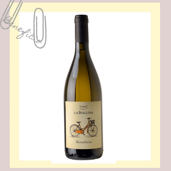 “Beneficio” (CH/SB/CO) Piemonte DOC 2024 0.75 l