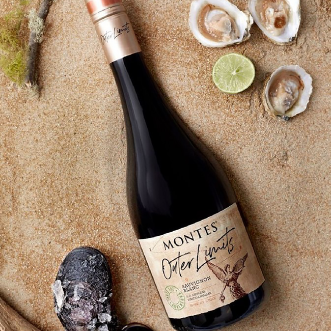 Zapallar Coast Sauvignon Blanc Outer Limits 2020 0.75 l