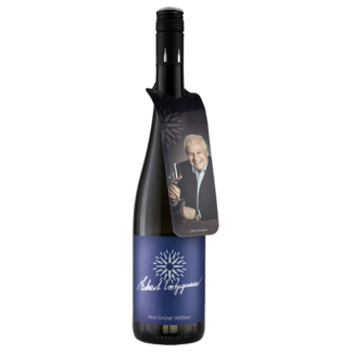 Franz Türk / Kremstal, Stratzing Grüner Veltliner Edition Witzigmann 2024 0.75 l