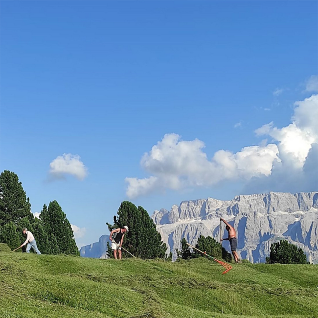 Marzadro Crema Alpina Pistacchio Likör 0.2 l 17% vol