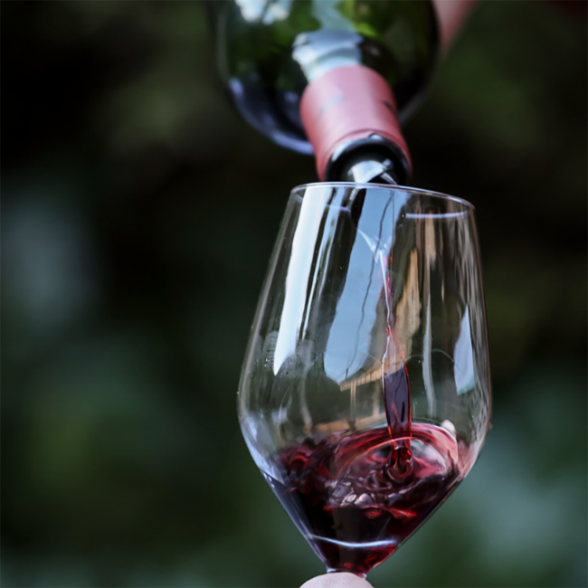 Chateau Senejac Cru Bourgeois Superieur Haut-Medoc 2019 0.75 l