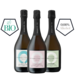 Sparkling Tea Copenhagen  / Dänemark, Kopenhagen Das "Copenhagner-Set" Sparkling Tea Alkoholfrei 3x0.75 l