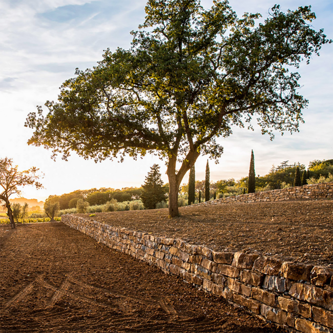 Hebo Rosso (CS/ME/SG) Toscana IGT 2023 0.75 l