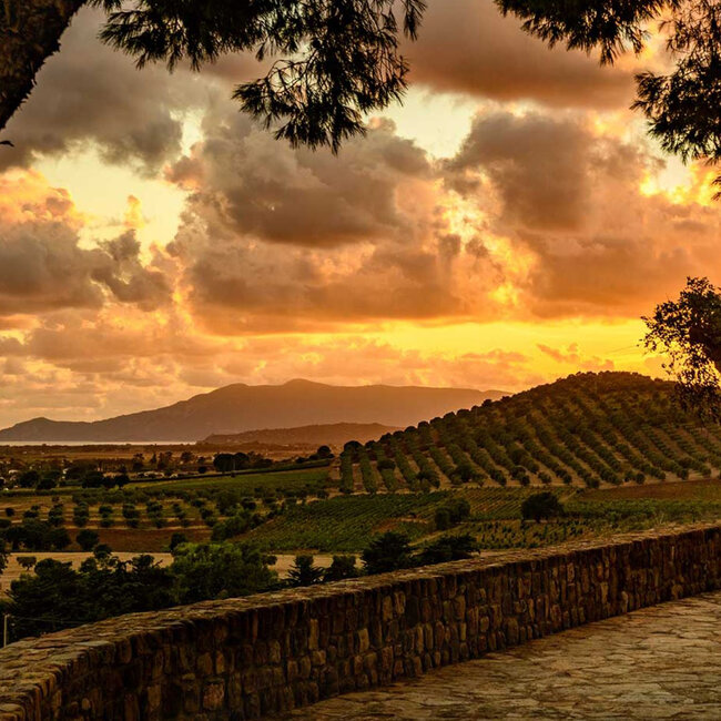 "Terra di Monteverro" Toscana IGT 2021 0.75 l