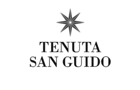Tenuta San Guido / Italien, Toskana, Bolgheri