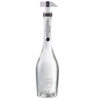 Hämmerle / Österreich, Vorarlberg Marille Edelbrand 0.5 l 40% vol
