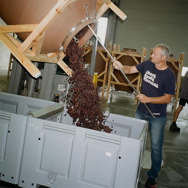 Gabarinza (ZW/BF/ME) BIO 2017 Magnum 1.50 l