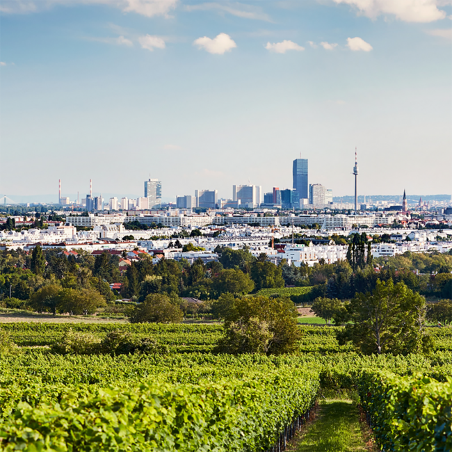 Wieninger Wiener Gemischter Satz DAC Ried Ulm Nussberg 1ÖTW Bio 2023 0,75 l