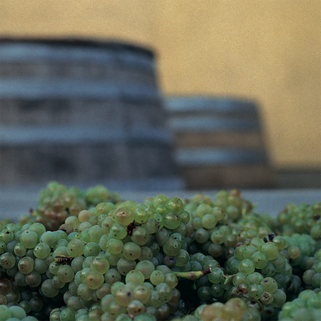 Wiener Gemischter Satz DAC Ried Ulm Nussberg 1ÖTW BIO 2023 0.75 l