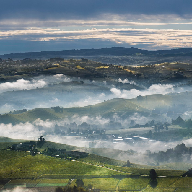 Barolo Cru Monfalletto DOCG BIO 2010 0.75 l