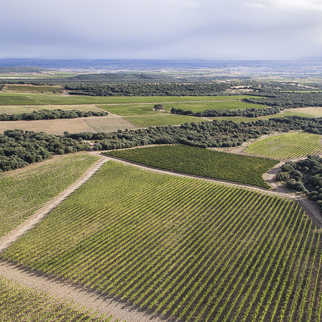 Rioja Crianza 2021 0.75 l