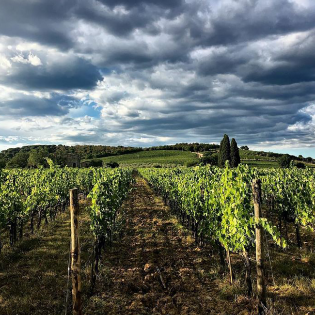 Chianti Classico Berardenga DOCG 2022 0.75 l