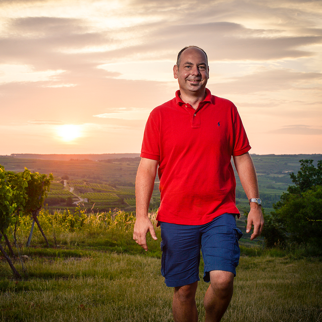 Grüner Veltliner White Dreams Kamptal DAC 2025 0.75 l