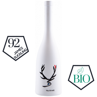 Weixelbaum / Kamptal, Strass Grüner Veltliner White Dreams Kamptal DAC 2024 0.75 l