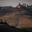 Barbera d'Alba DOC 2024 0.75 l