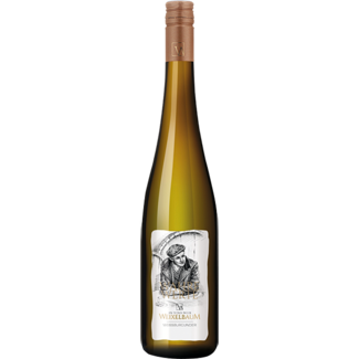 Weixelbaum / Kamptal, Strass Wahre Werte Weissburgunder Ried Gaisberg 2024 0.75 l Weixelbaum / Kamptal, Strass Wahre Werte Weissburgunder Ried Gaisberg 2024 0.75 l