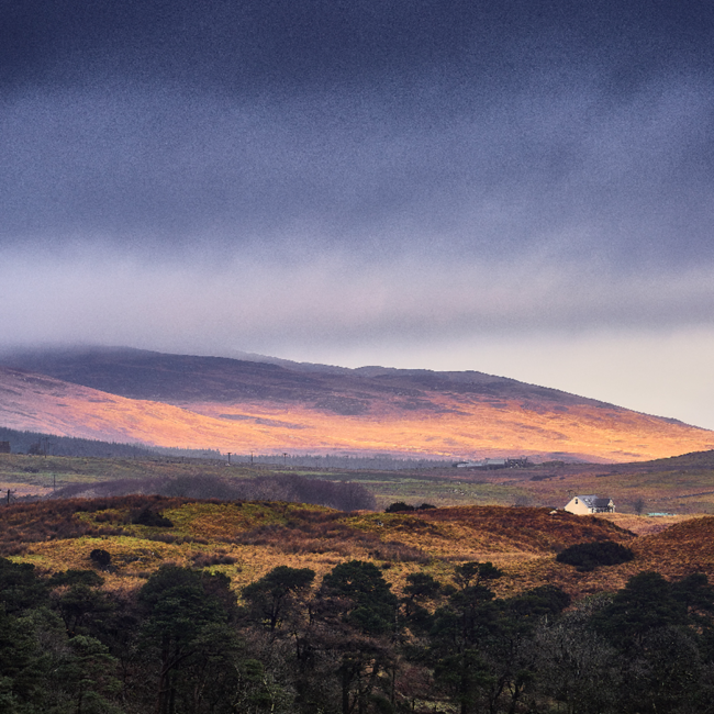 Bowmore 12 Year Old Single Malt Scotch Whisky 0.7 l 40% vol