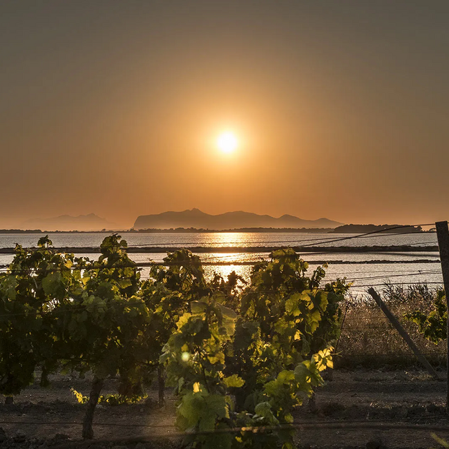 Uncle Joseph Marsala Rubino Dolce 2016 0.75 l 18 % vol