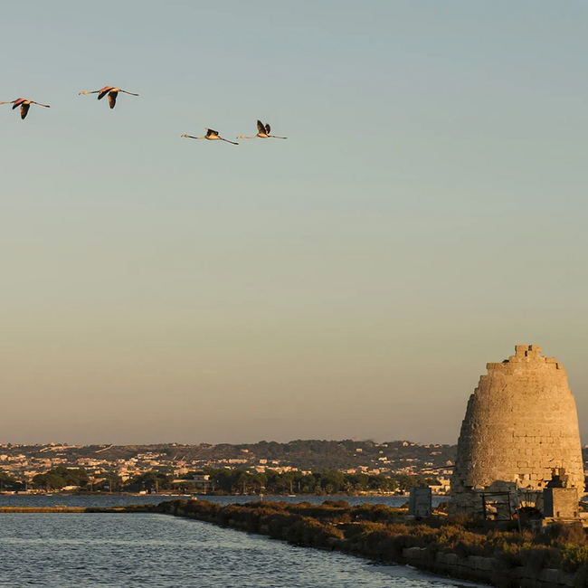 Marsala Vergine DOP Soleras Dry 0.75 l 19% vol