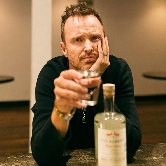 Dos Hombres Mezcal Artesanal Joven 0.70 l 42% vol