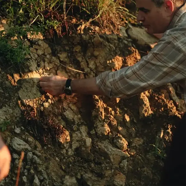 Pinot Noir Ried Holzspur BIO 2020 0.75 l