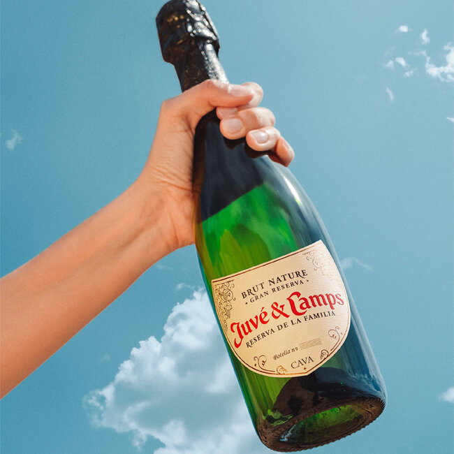 Juve y Camps / Penedes Reserva de la Familia Brut Nature Gran Reserva Cava DO 2021 0.75 l 12% vol