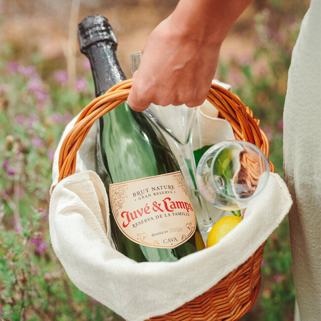 Juve y Camps / Penedes Reserva de la Familia Brut Nature Gran Reserva Cava DO 2021 0.75 l 12% vol