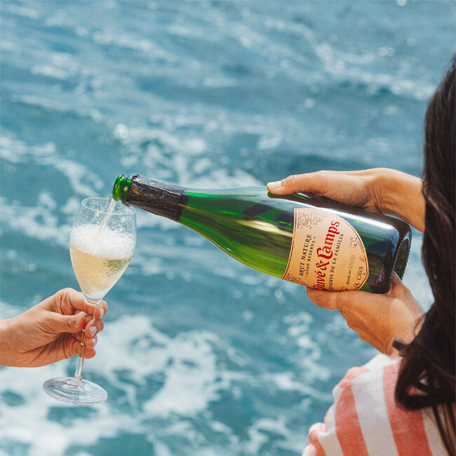 Reserva de la Familia Brut Nature Gran Reserva Cava DO 2021 0.75 l 12% vol