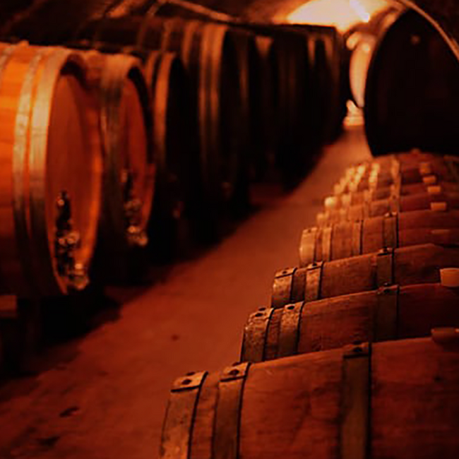 Grüner Veltliner Federspiel Stein am Rain Wachau DAC 2025 Magnum 1.50 l