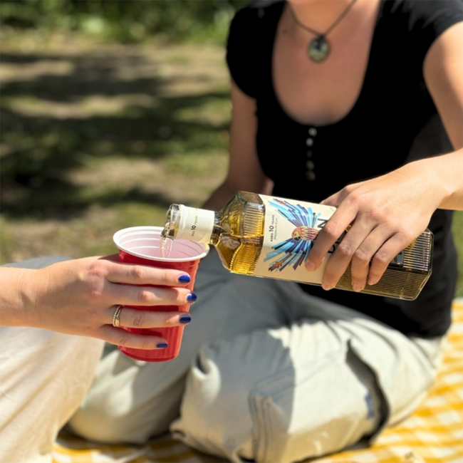 Ron Piet XO 10 Years Rum 0.7 l 40% vol