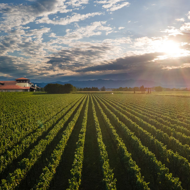 Vie Di Romans Chardonnay 2023 0.75 l