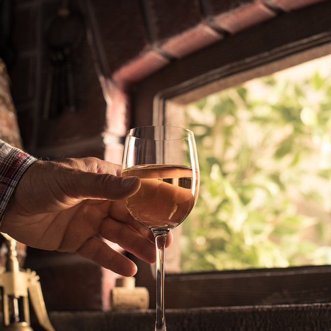 Grüner Veltliner Ried Kellerberg 2024 0.75 l