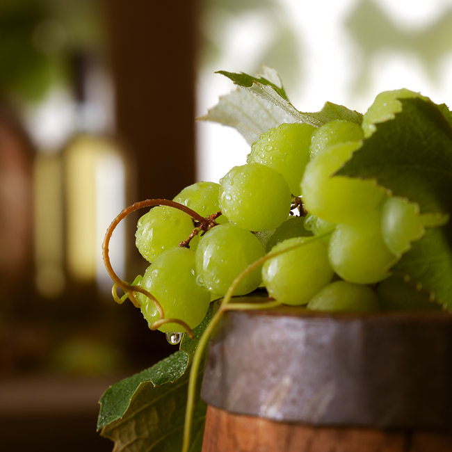 Grüner Veltliner Ried Kellerberg 2024 0.75 l