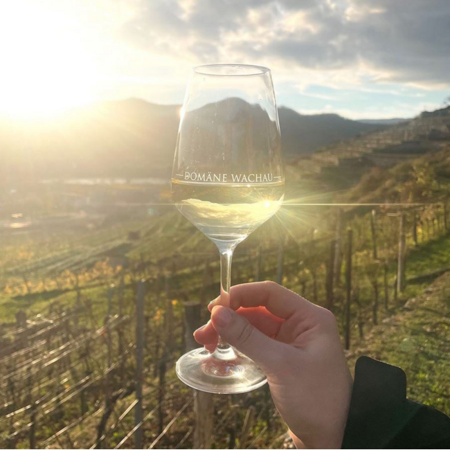 Grüner Veltliner Federspiel Terrassen Wachau DAC 2025 0.75 l