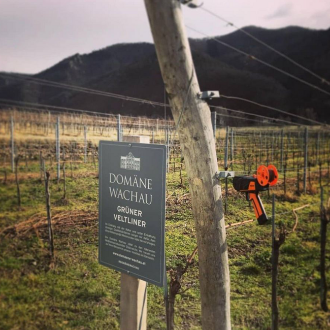 Grüner Veltliner Federspiel Terrassen Wachau DAC 2025 0.75 l